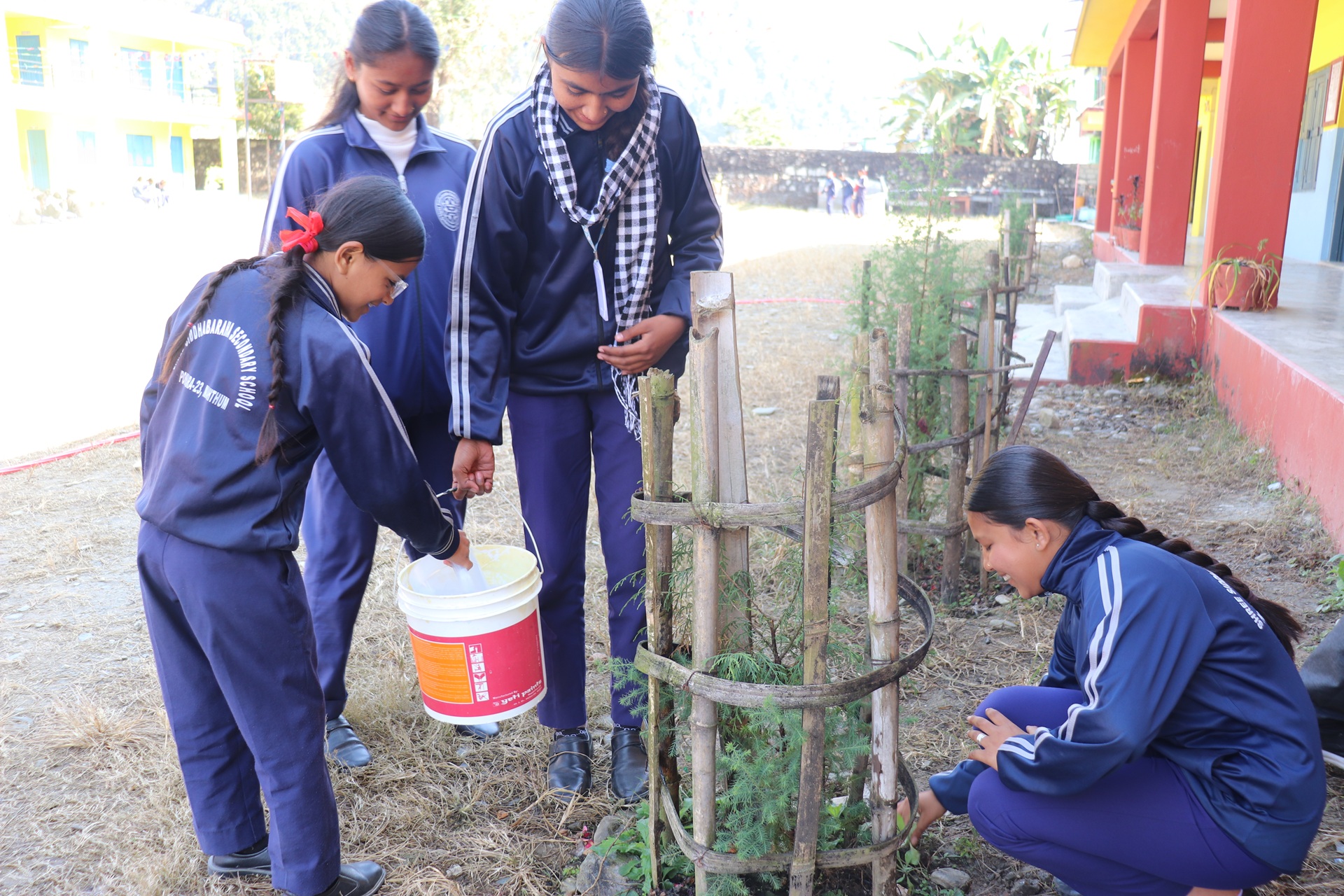 Il club per bambini di Pokhara si impegna a favore del rimboschimento. Il club per bambini di Pokhara si impegna a favore del rimboschimento.
