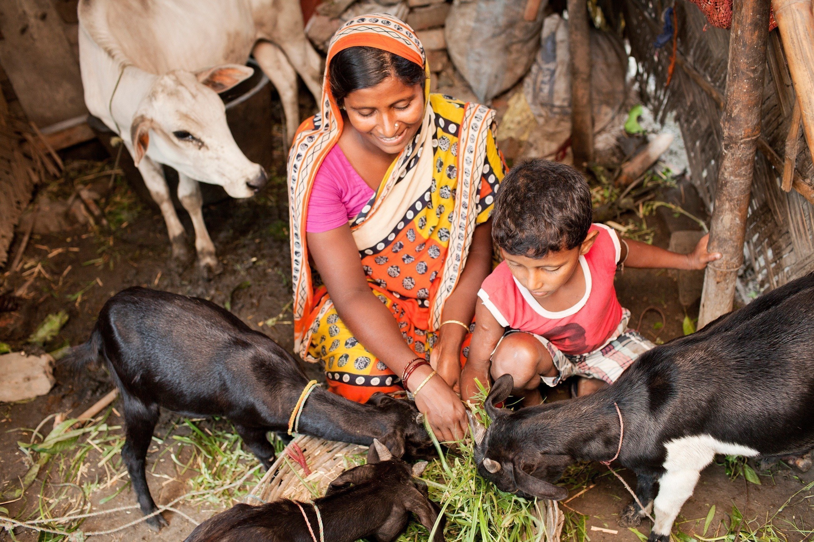 Una madre e suo figlio danno da mangiare al bestiame.
