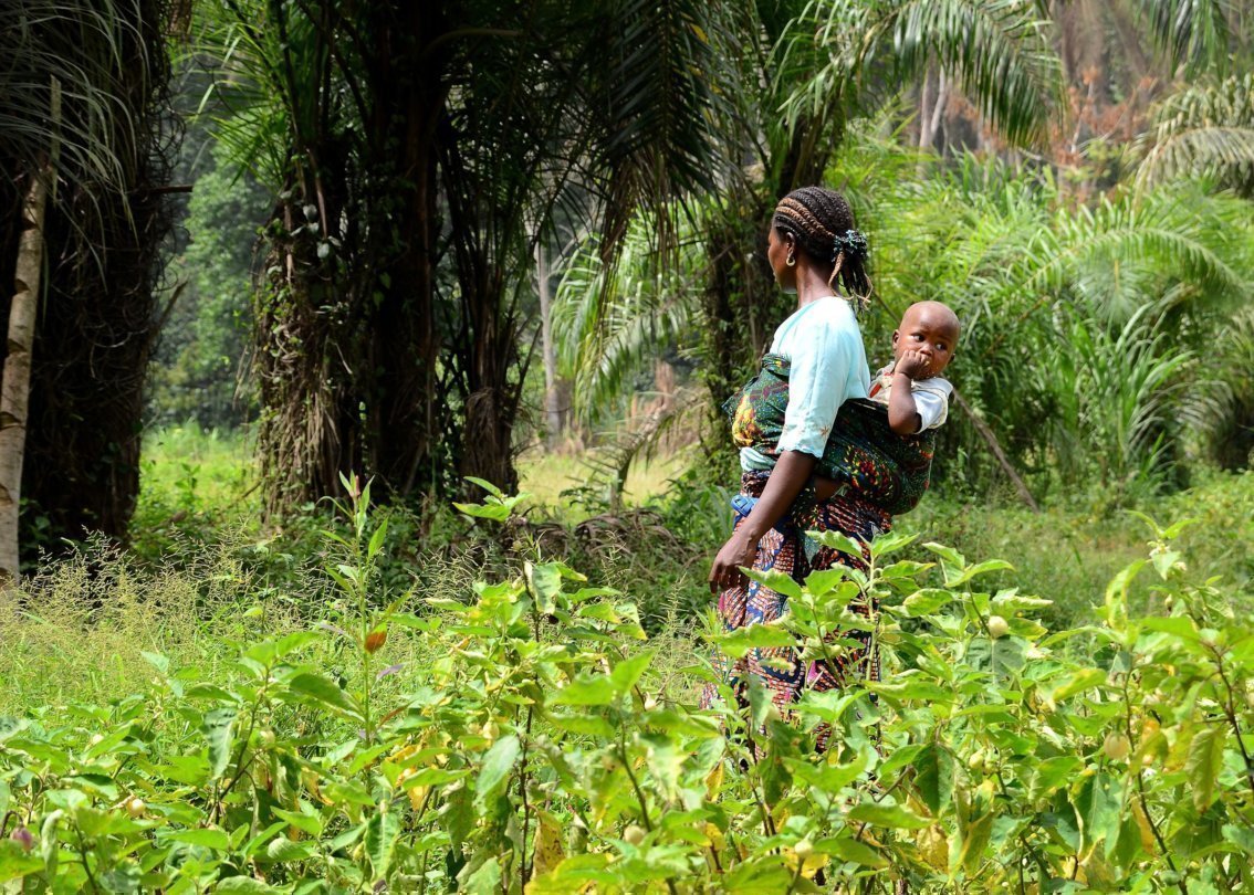 Una madre porta il suo bambino in un telo sulla schiena attraverso una fitta vegetazione.